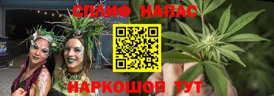 дмт Кинель